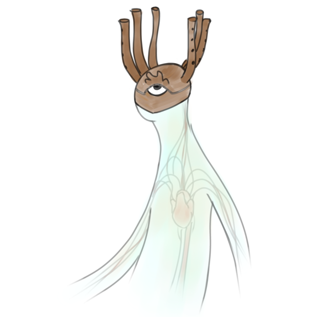 A character that has many meanings. The crown of flutes produce a haunting sound when this monster sings, and it sounds like a choir of woodwind instruments. It's see through chest reveals it's heart and lungs, which flow air and blood whenever it sings. It is a ghost of a whimsical, musical nature, the Woodwind.